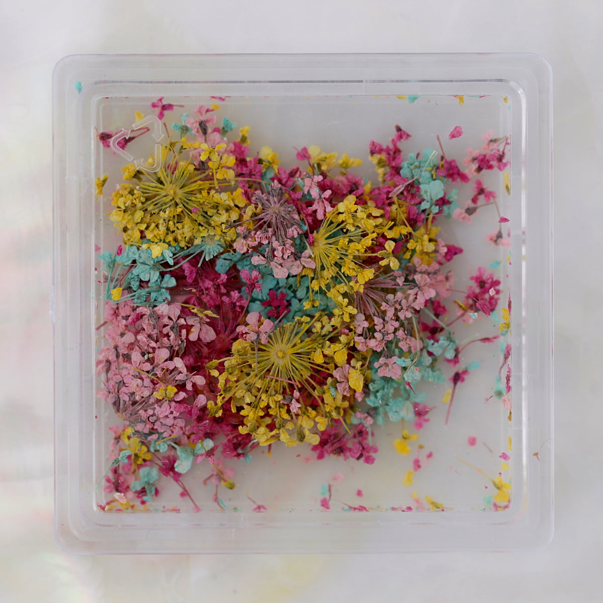 natural nail art decoration dried flowers